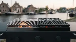 RVS rooster of gietijzeren rooster: wat past bij jouw BBQ?